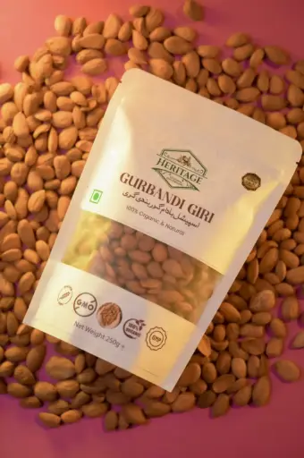 GURBANDI GIRI